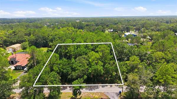 1 Acre of Residential Land for Sale in Wesley Chapel, Florida