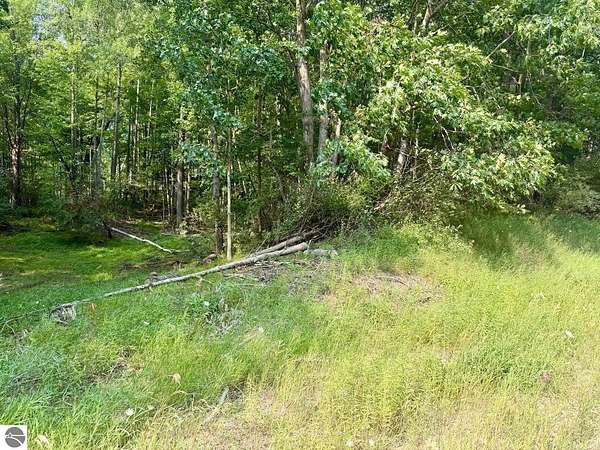 5.5 Acres of Residential Land for Sale in Lake Isabella, Michigan