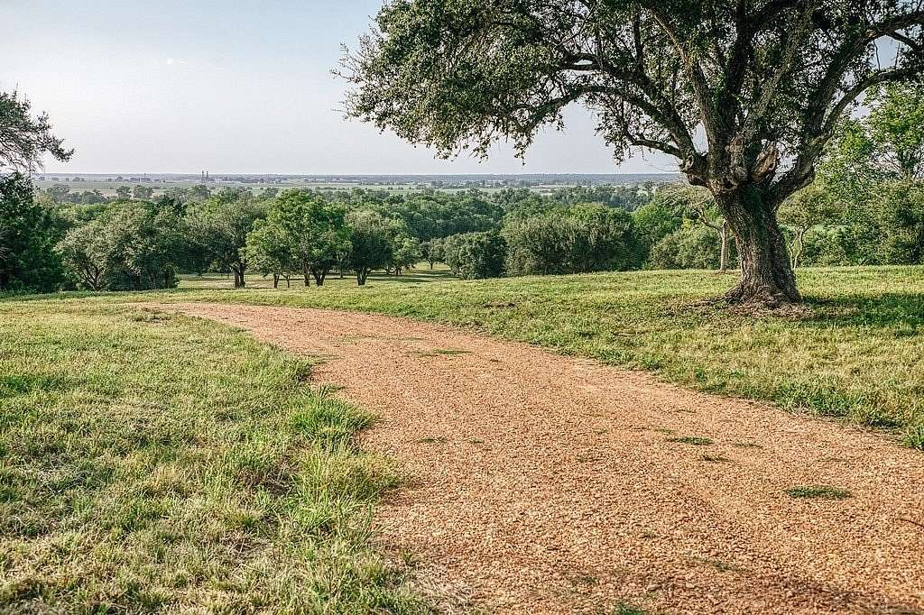 71.2 Acres of Recreational Land for Sale in Washington, Texas