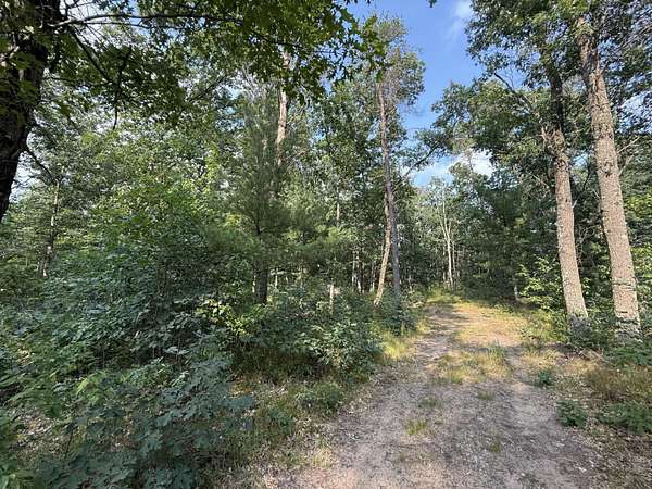 0.28 Acres of Land for Sale in Baldwin, Michigan