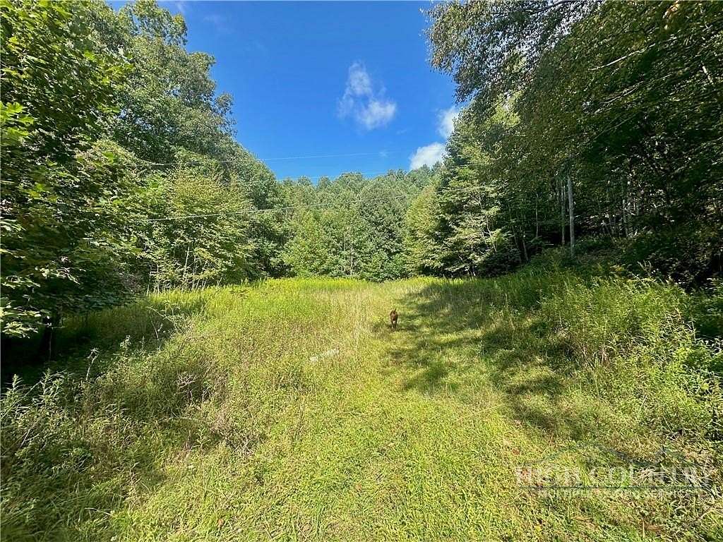 11 Acres of Land for Sale in Vilas, North Carolina