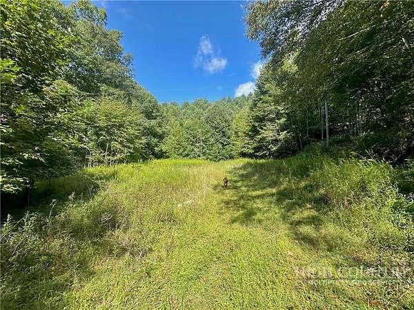11 Acres of Land for Sale in Vilas, North Carolina