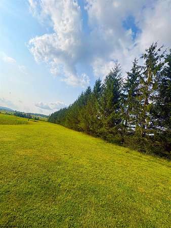 1.25 Acres of Residential Land for Sale in Davis, West Virginia
