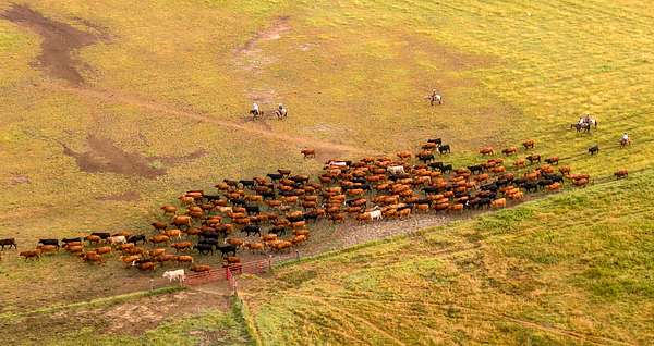 1,415 Acres of Land for Sale in Longton, Kansas