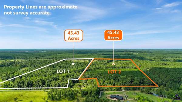 90.9 Acres of Recreational & Residential Land for Sale in Eastman, Georgia