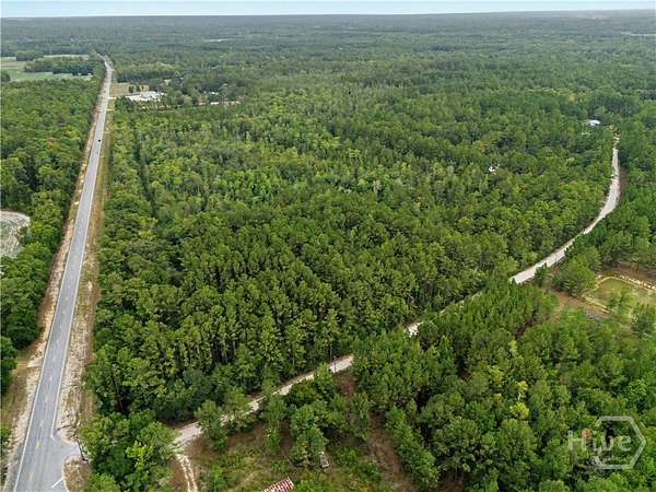50 Acres of Recreational Land for Sale in Brooklet, Georgia