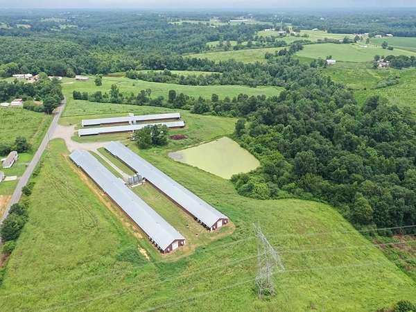 24 Acres of Agricultural & Residential Land for Sale in Holly Pond, Alabama