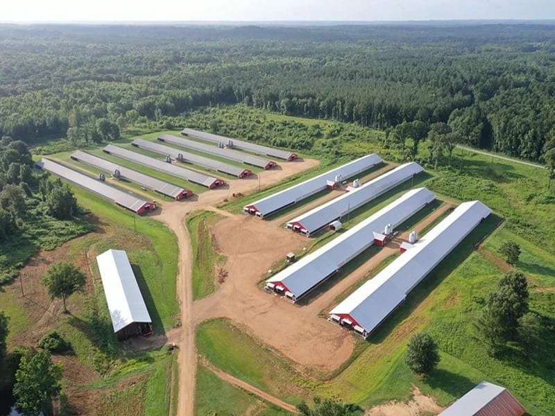 140 Acres of Agricultural Land with Home for Sale in Raleigh, Mississippi