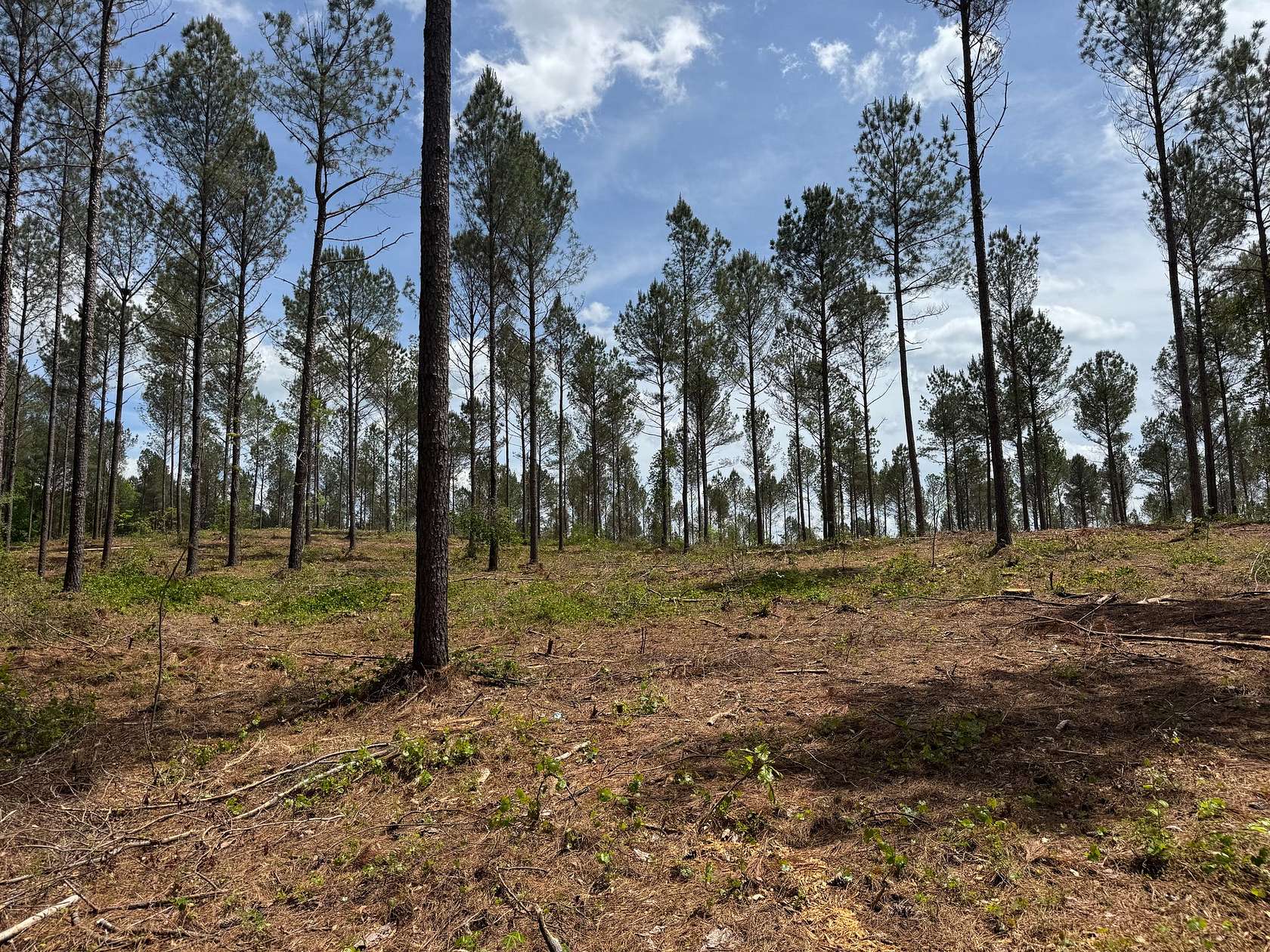 14 Acres of Recreational & Residential Land for Sale in Dewy Rose, Georgia