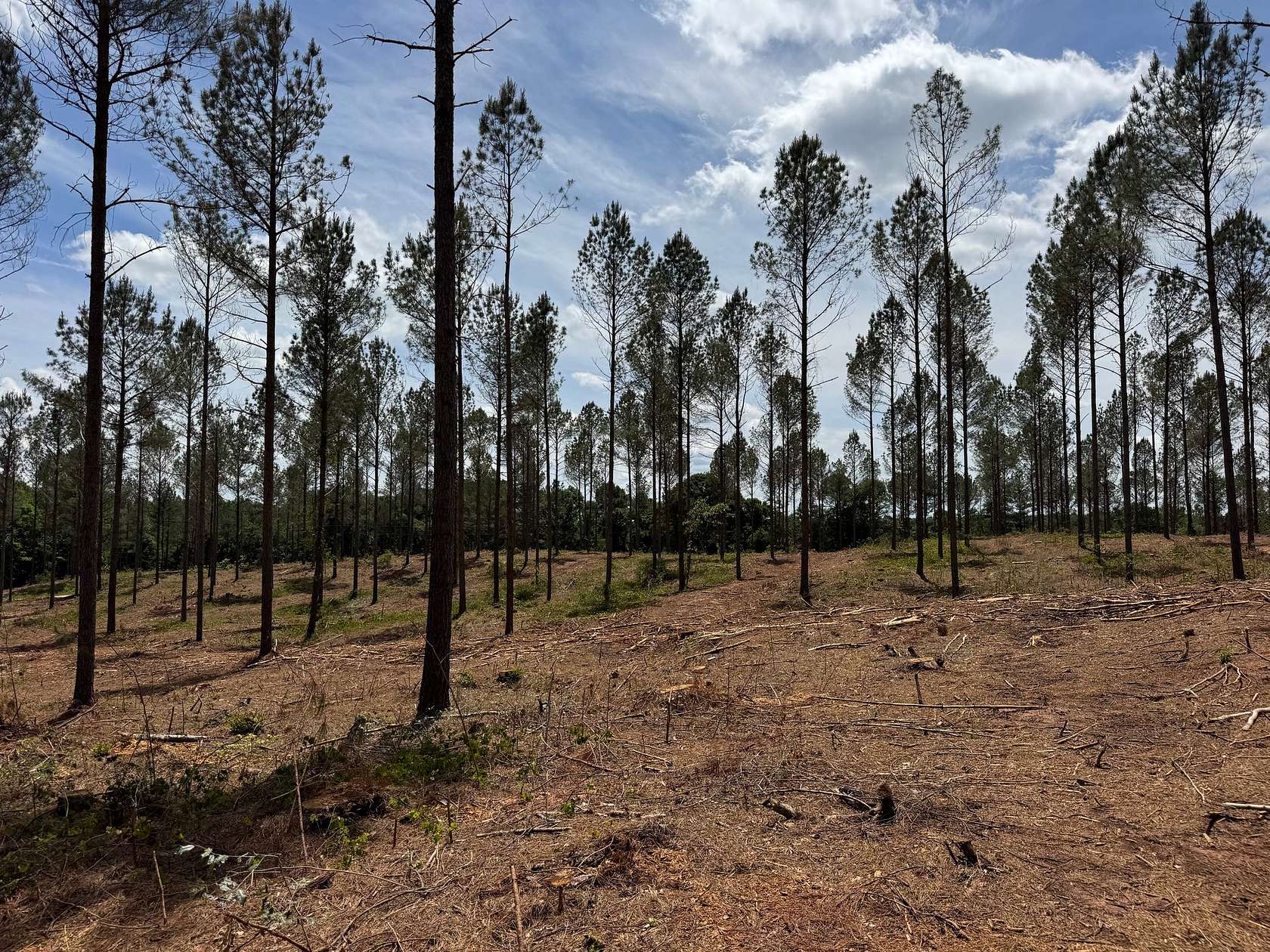 12 Acres of Recreational & Residential Land for Sale in Dewy Rose, Georgia
