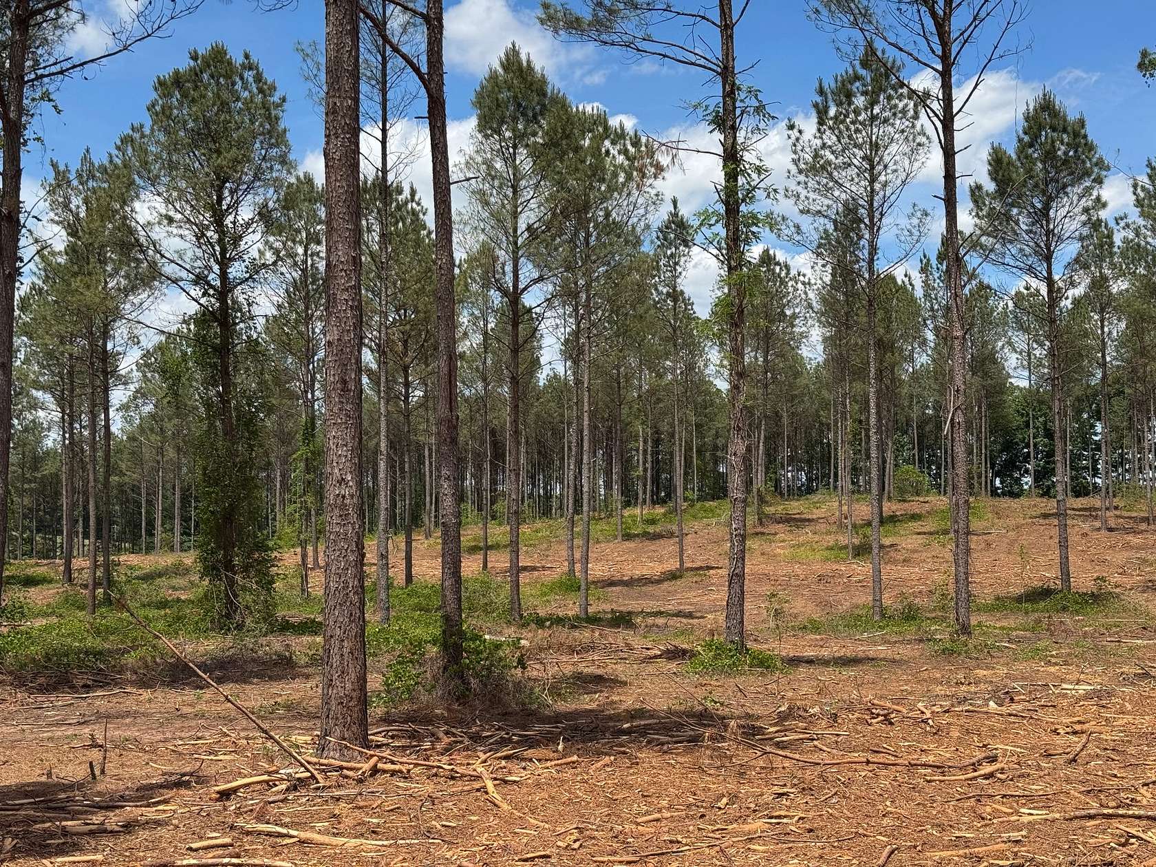 12 Acres of Recreational & Residential Land for Sale in Dewy Rose, Georgia
