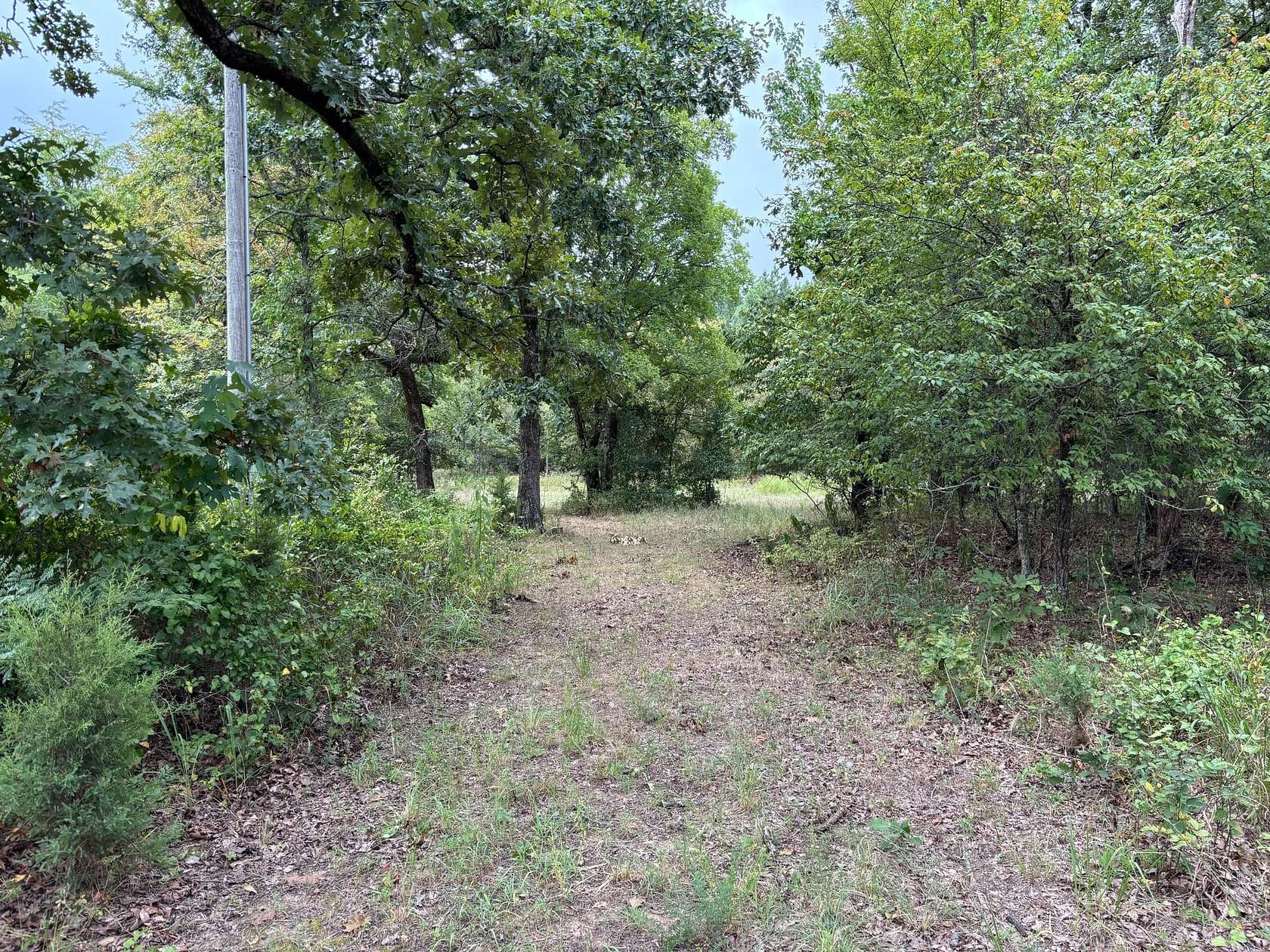 13.3 Acres of Land for Sale in Ringold, Oklahoma