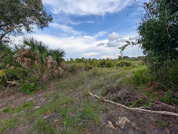 0.25 Acres of Residential Land for Sale in Lehigh Acres, Florida
