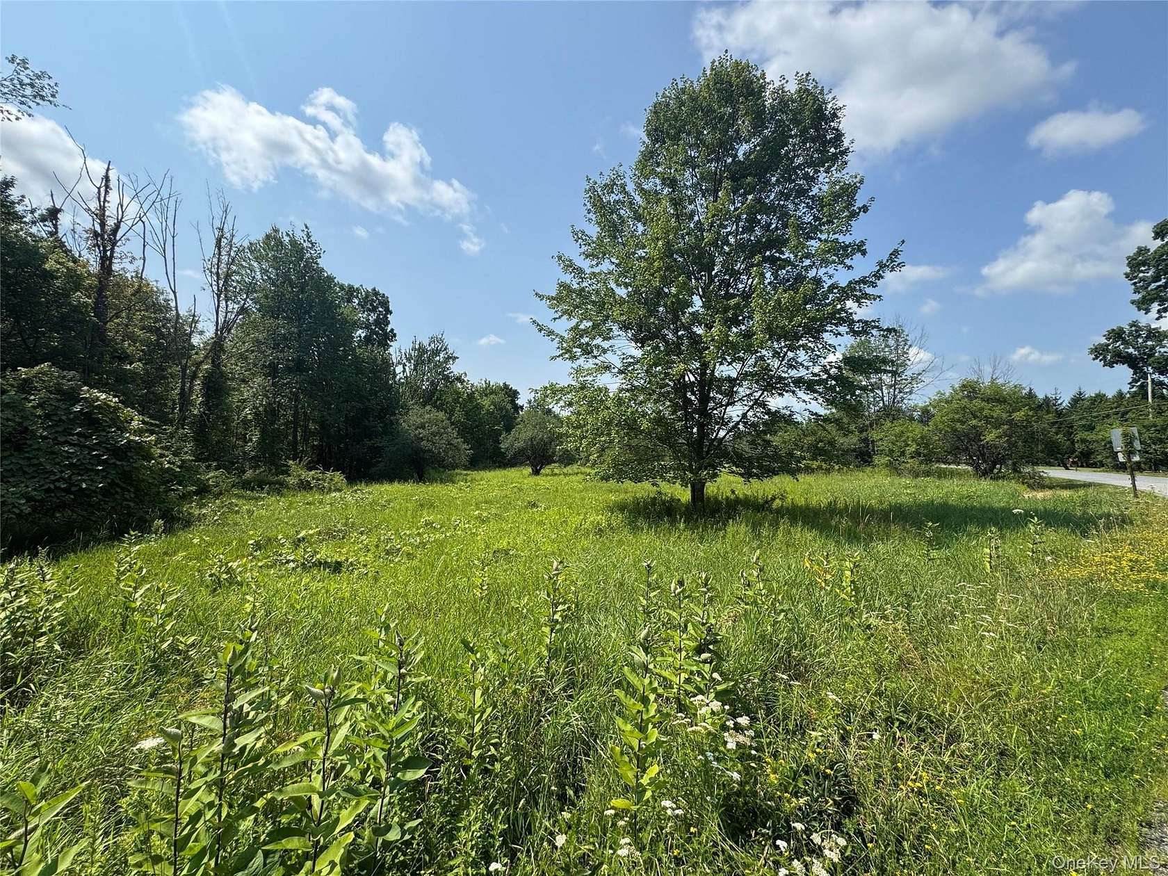 3 Acres of Residential Land for Sale in Middletown, New York
