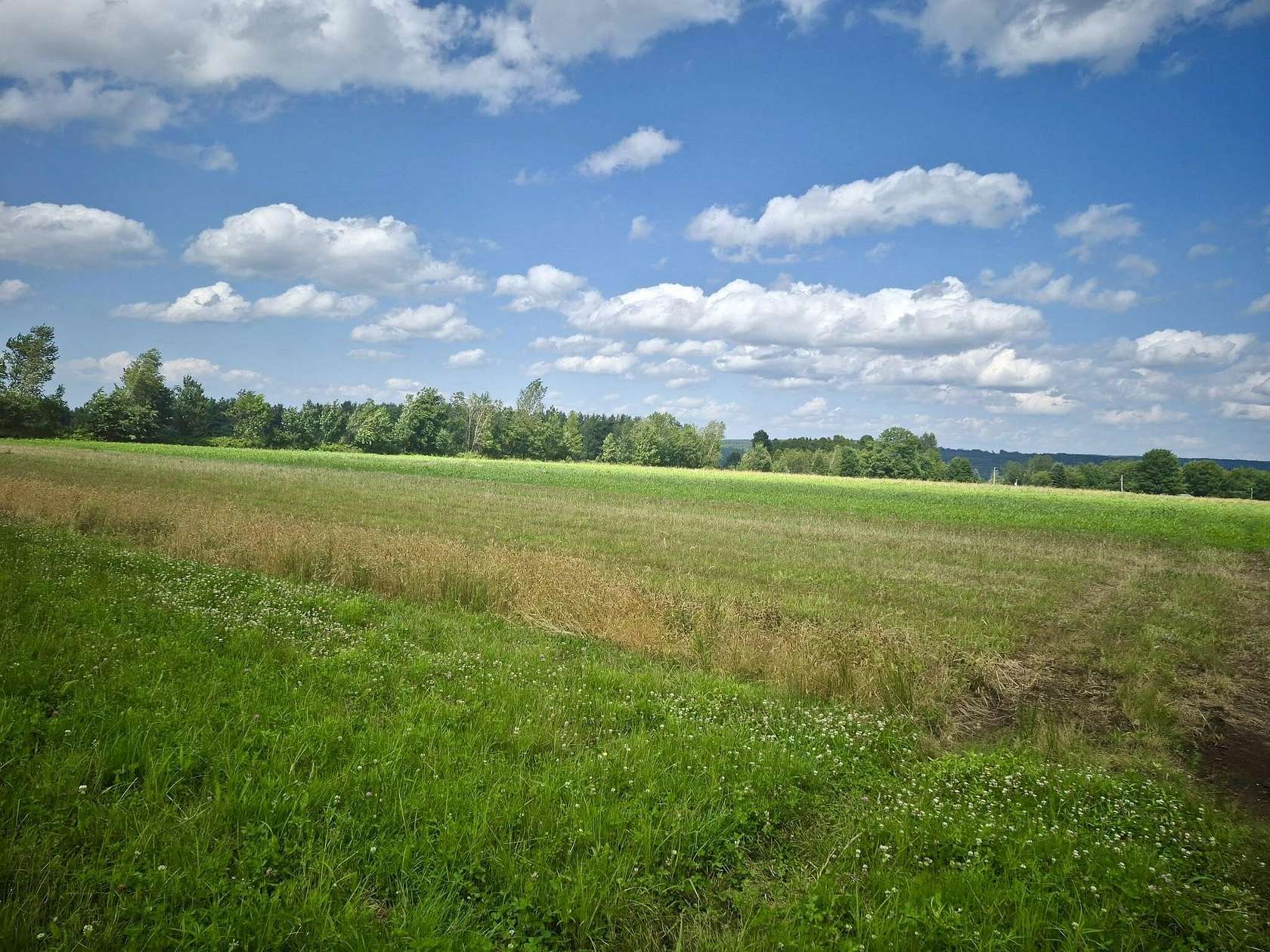 19.8 Acres of Recreational & Residential Land for Sale in Malone, New York