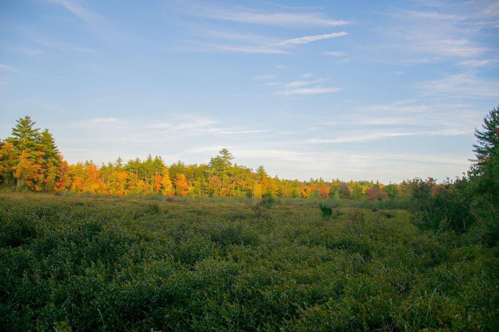10 Acres of Recreational & Residential Land for Sale in Waterboro, Maine