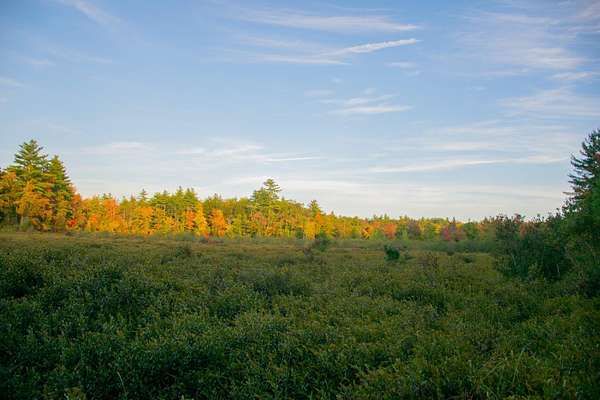 10 Acres of Recreational & Residential Land for Sale in Waterboro, Maine