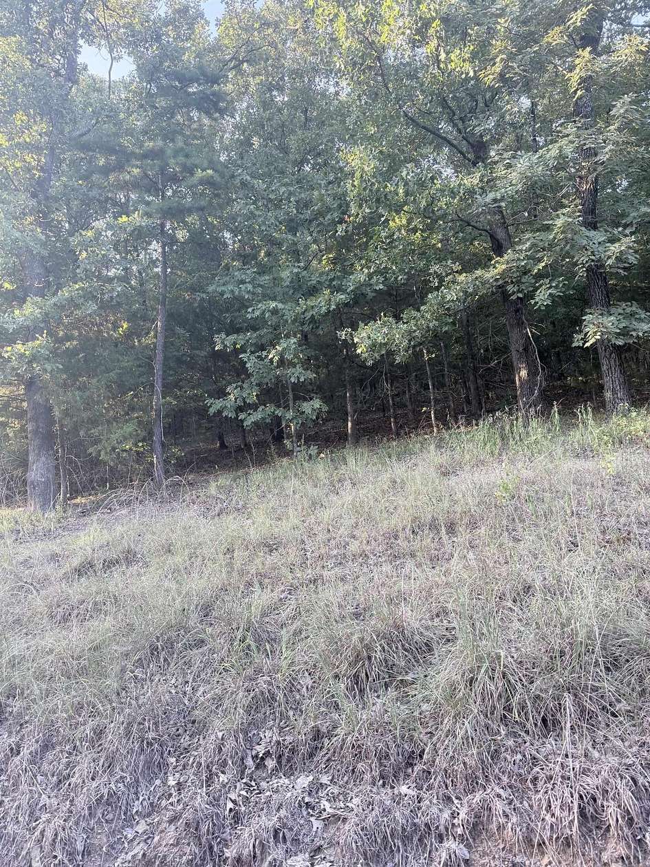 0.46 Acres of Residential Land for Sale in Mayflower, Arkansas