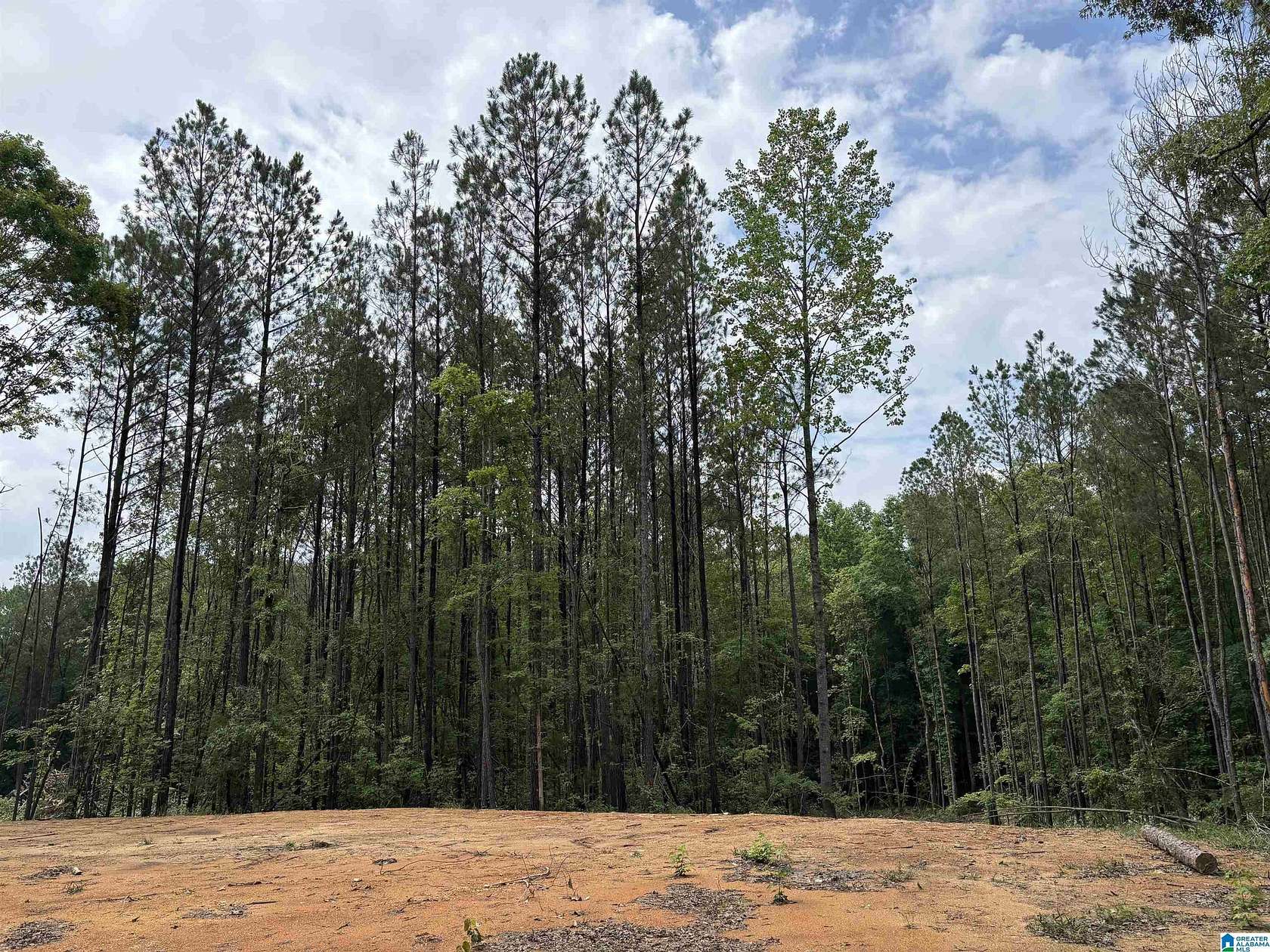 1 Acre of Land for Sale in Wedowee, Alabama