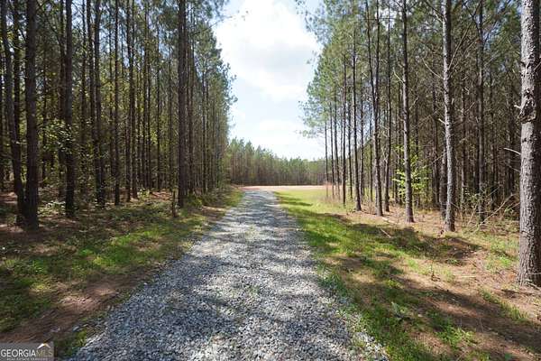 17.8 Acres of Recreational & Residential Land for Sale in Monticello, Georgia