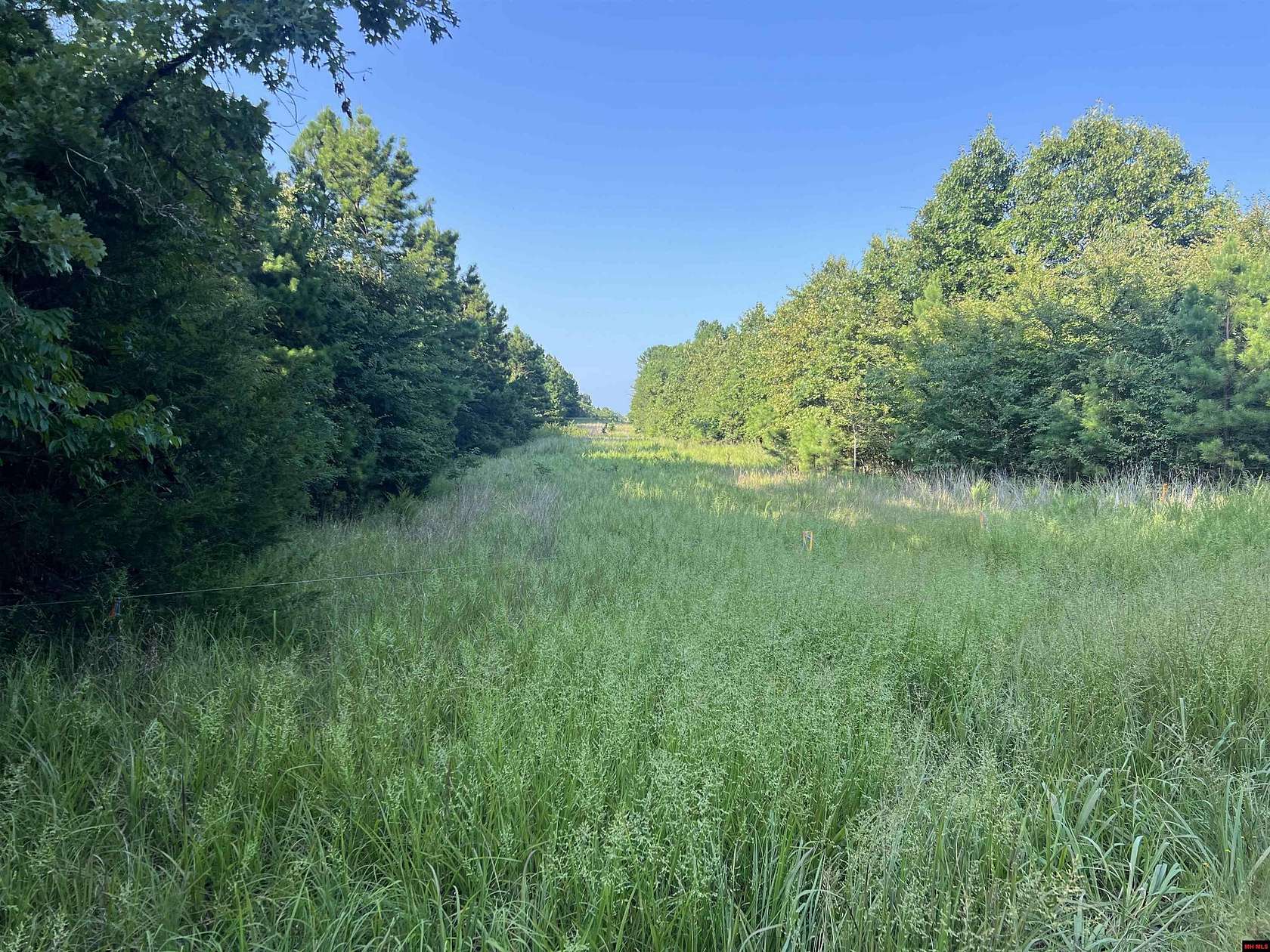 14.4 Acres of Land for Sale in Yellville, Arkansas