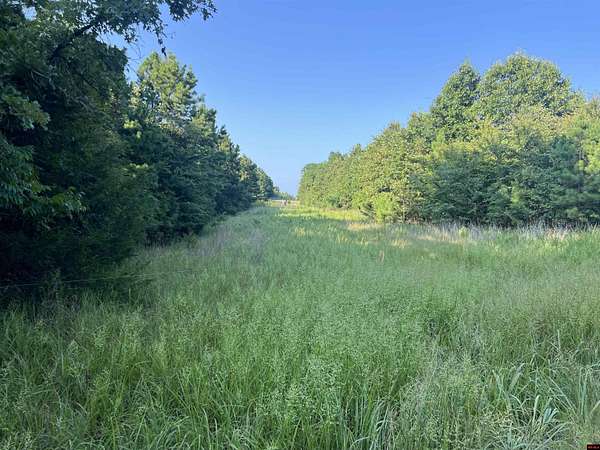 14.4 Acres of Land for Sale in Yellville, Arkansas