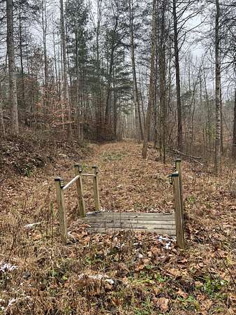113 Acres of Recreational Land for Sale in Irvine, Kentucky