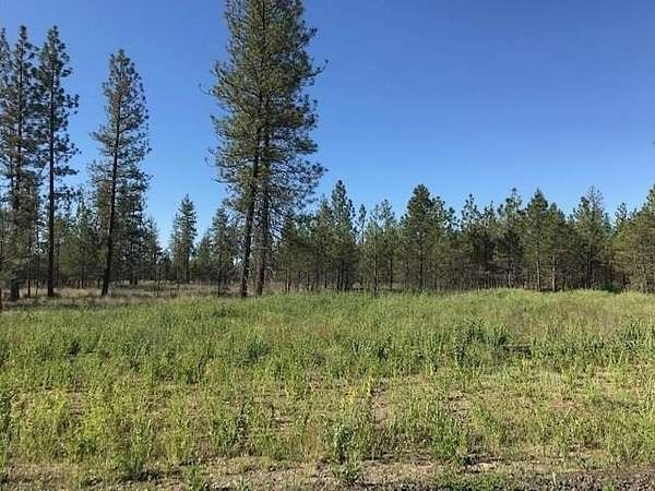 10 Acres of Land for Sale in Tumtum, Washington