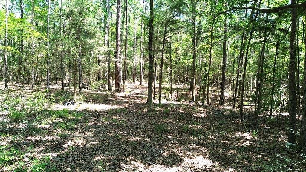 6.76 Acres of Residential Land for Sale in Kennard, Texas