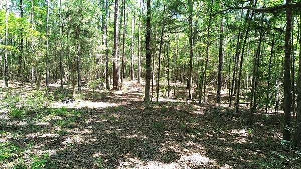 6.76 Acres of Residential Land for Sale in Kennard, Texas