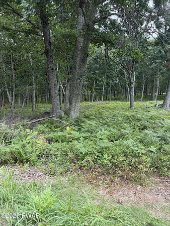 0.7 Acres of Residential Land for Sale in Bushkill, Pennsylvania