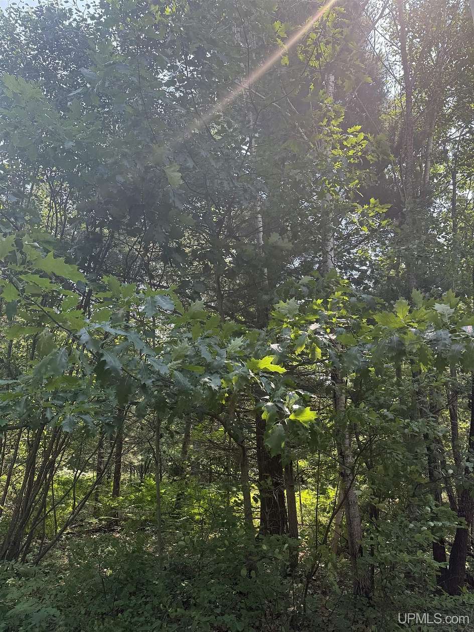 17.1 Acres of Recreational & Residential Land for Sale in Gwinn, Michigan