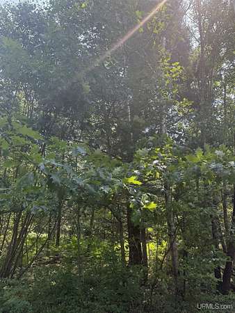 17.1 Acres of Recreational & Residential Land for Sale in Gwinn, Michigan