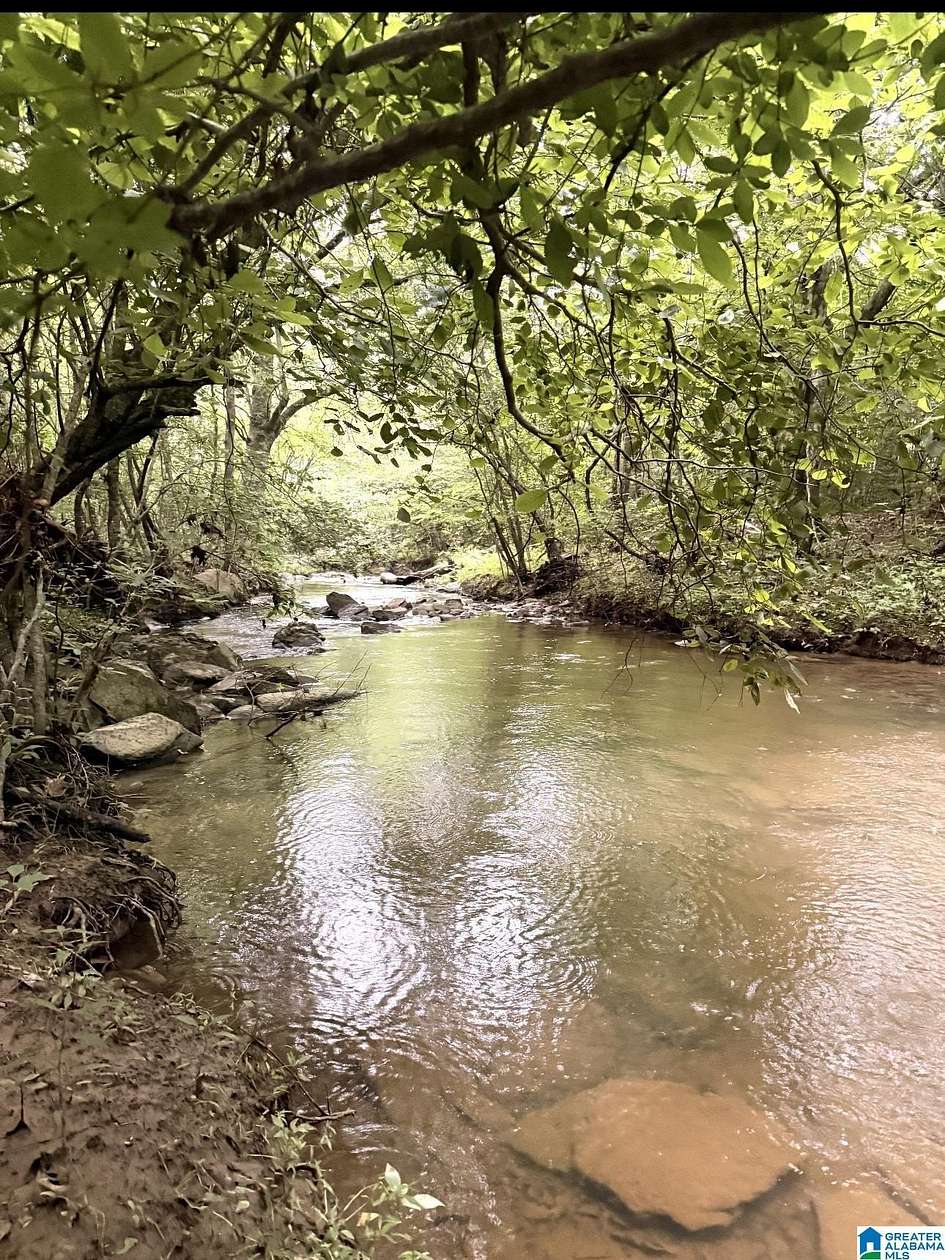 51 Acres of Recreational Land for Sale in Fruithurst, Alabama