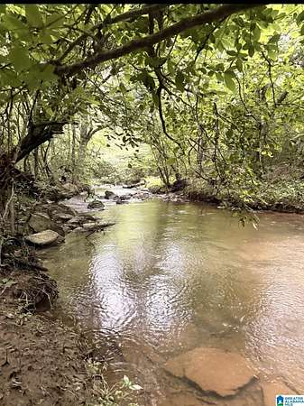 51 Acres of Recreational Land for Sale in Fruithurst, Alabama