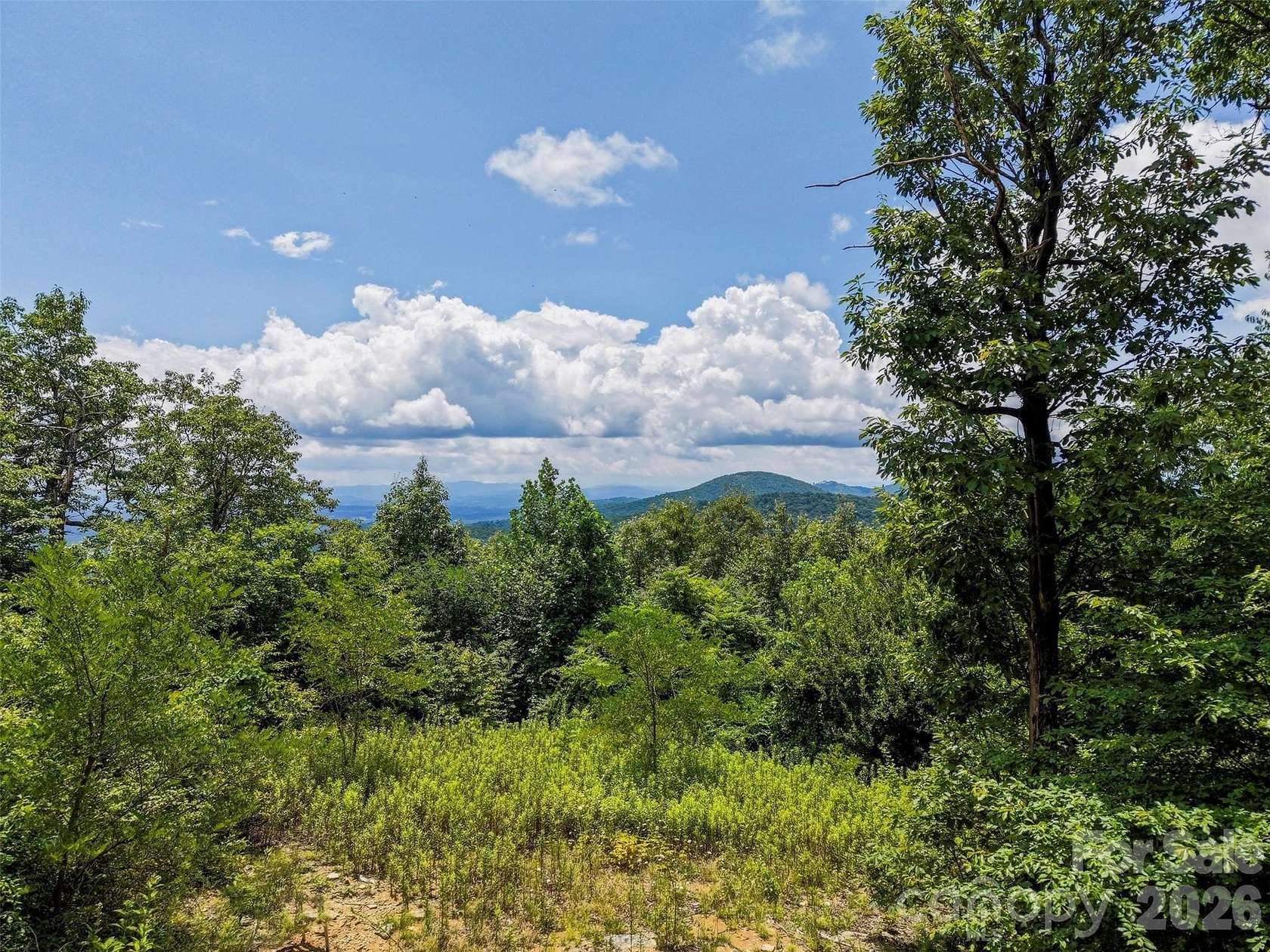 0.81 Acres of Residential Land for Sale in Hendersonville, North Carolina