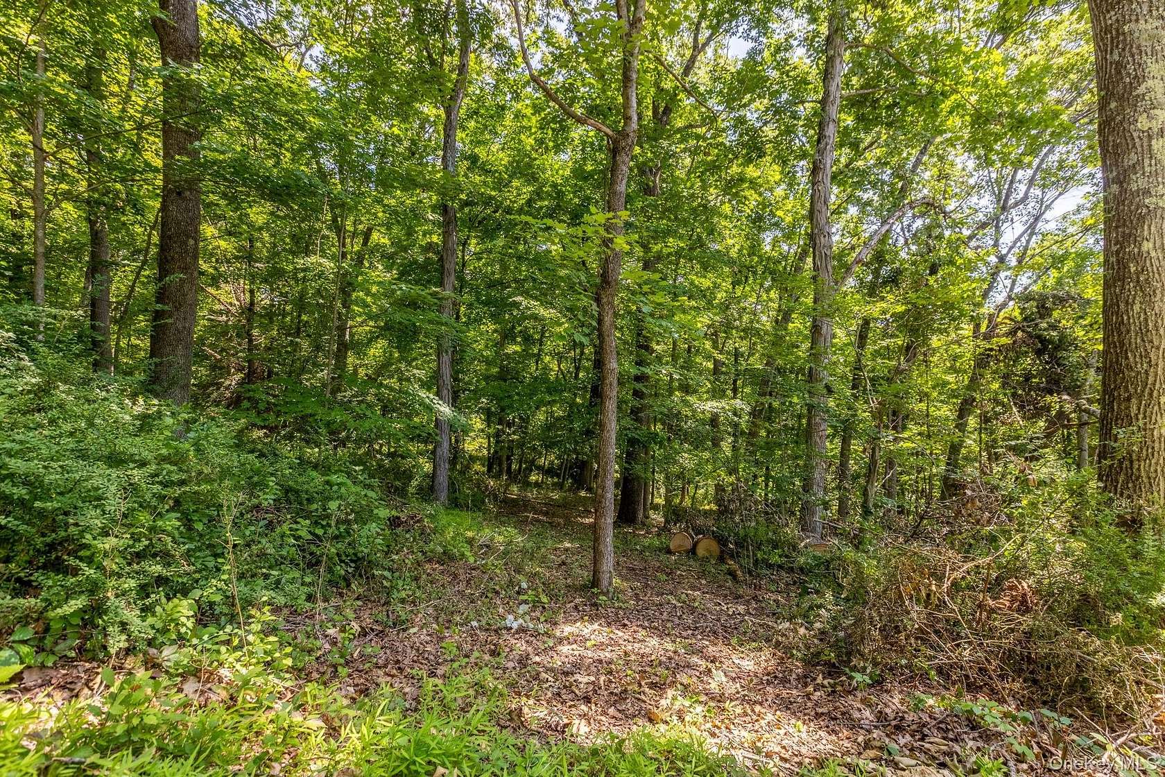 6.4 Acres of Residential Land for Sale in Pawling, New York