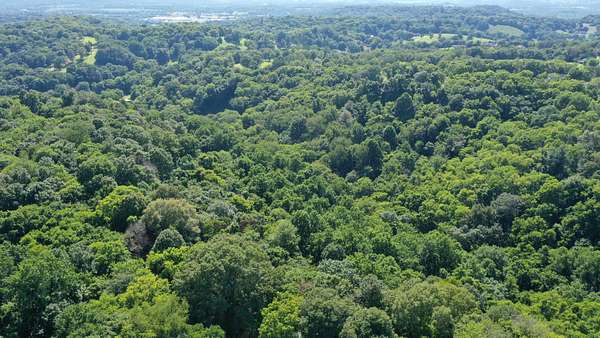 4 Acres of Residential Land for Sale in Monterey, Tennessee