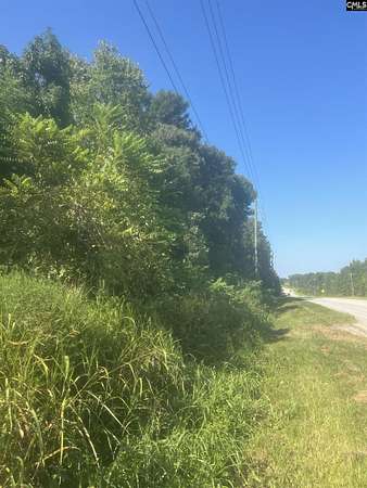 1 Acre of Land for Sale in Newberry, South Carolina