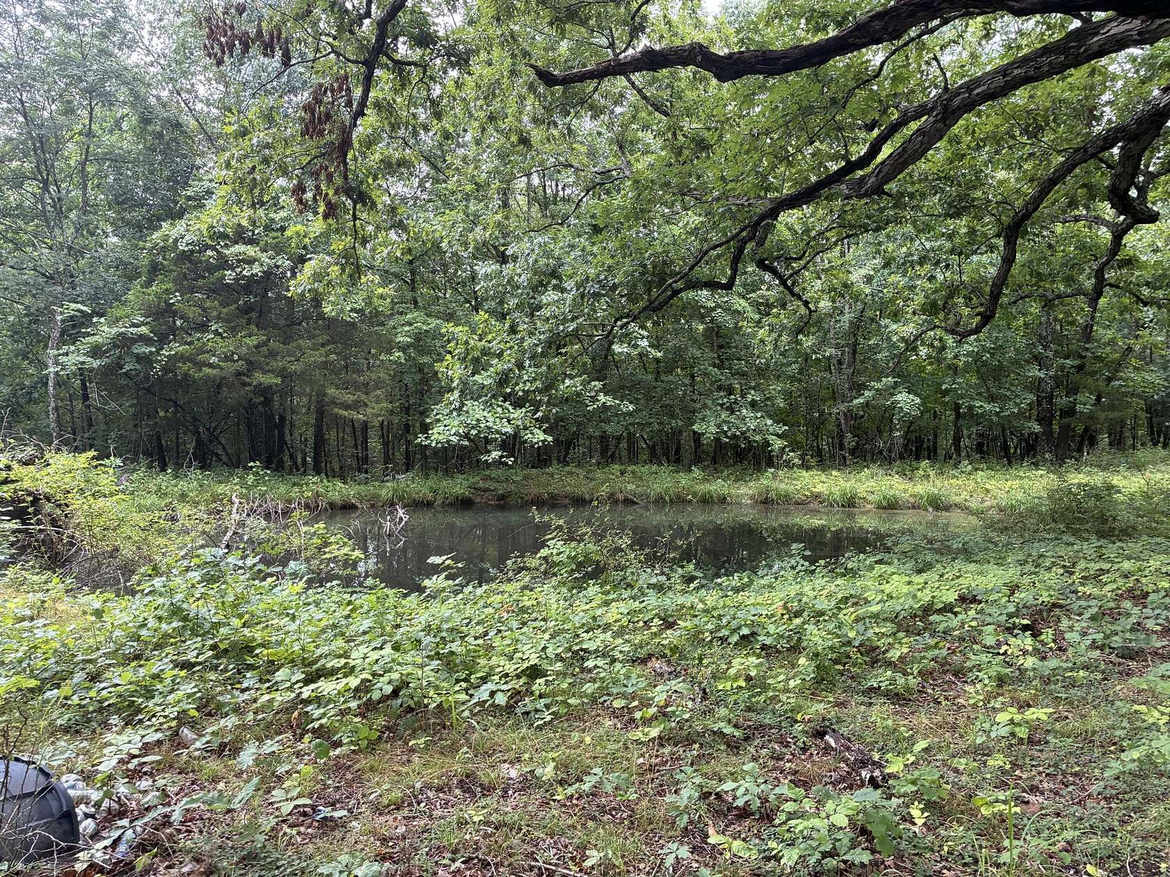 44 Acres of Recreational & Residential Land for Sale in Berry, Kentucky