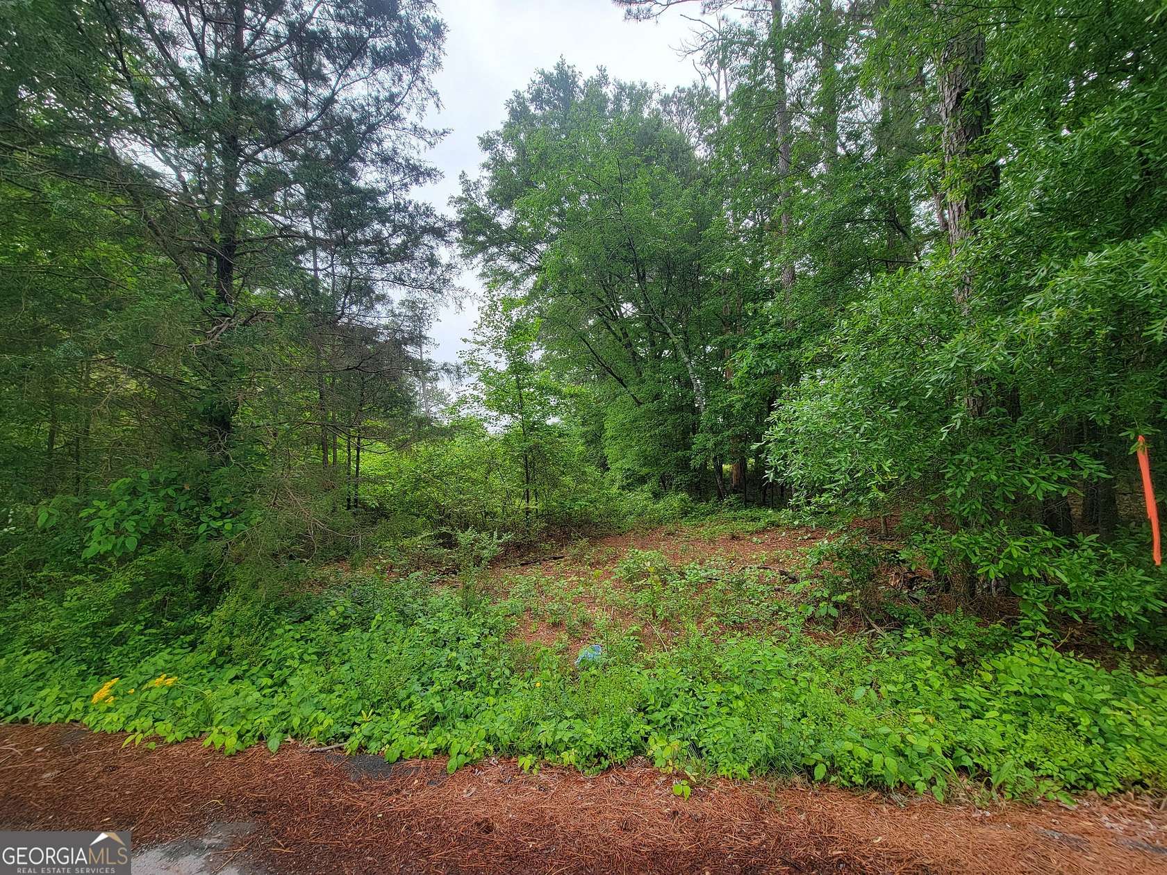 42 Acres of Land for Sale in Summerville, Georgia