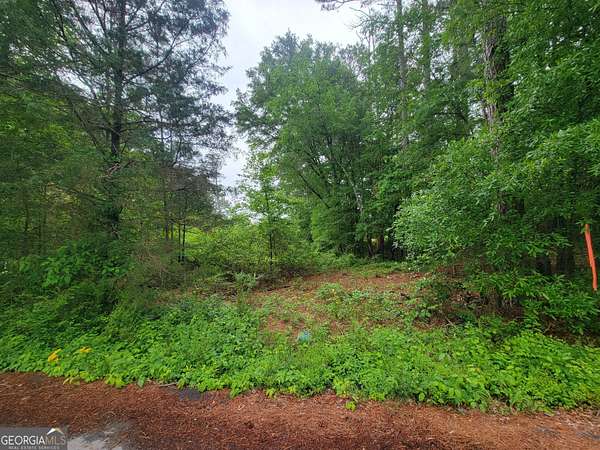 42 Acres of Land for Sale in Summerville, Georgia