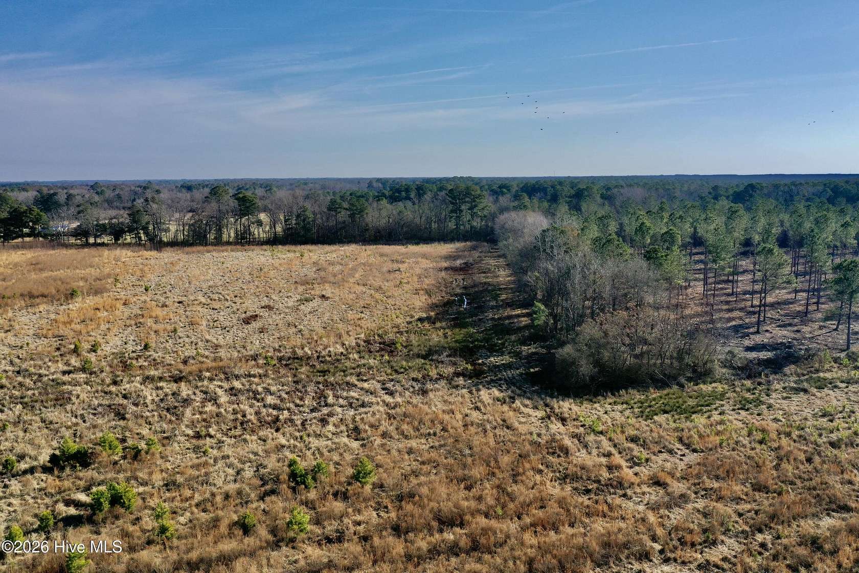 26.4 Acres of Recreational & Residential Land for Sale in Garland, North Carolina