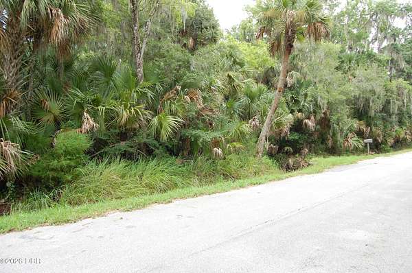 0.44 Acres of Land for Sale in New Smyrna Beach, Florida