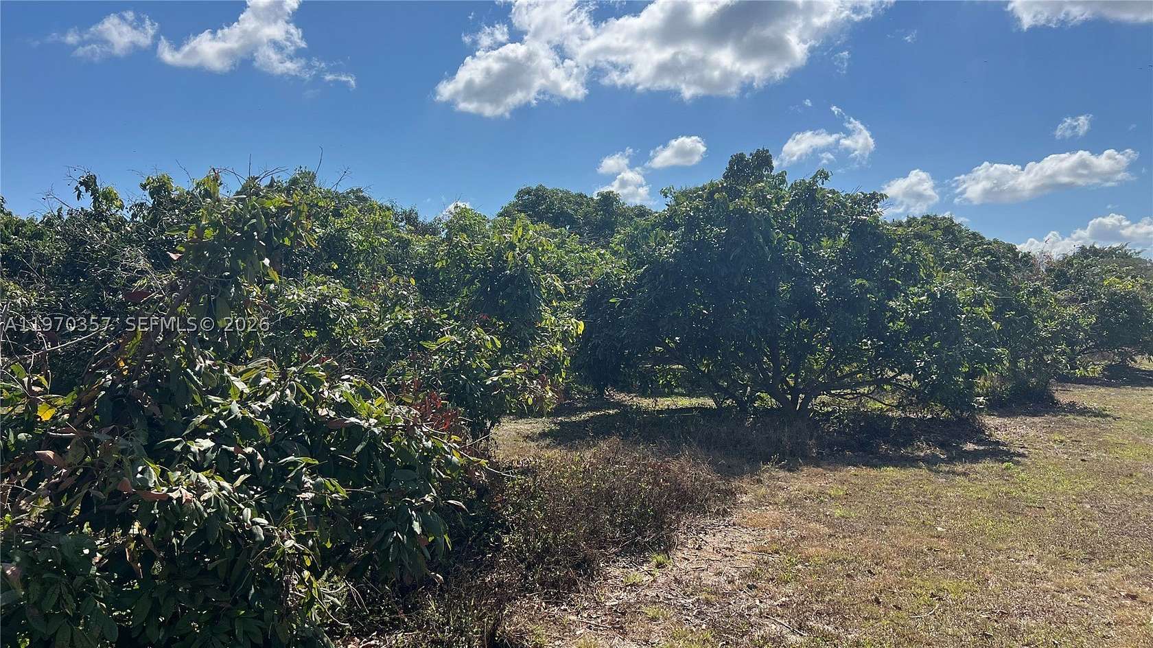 5 Acres of Residential Land for Sale in Miami, Florida