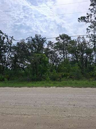 0.52 Acres of Residential Land for Sale in Weeki Wachee, Florida