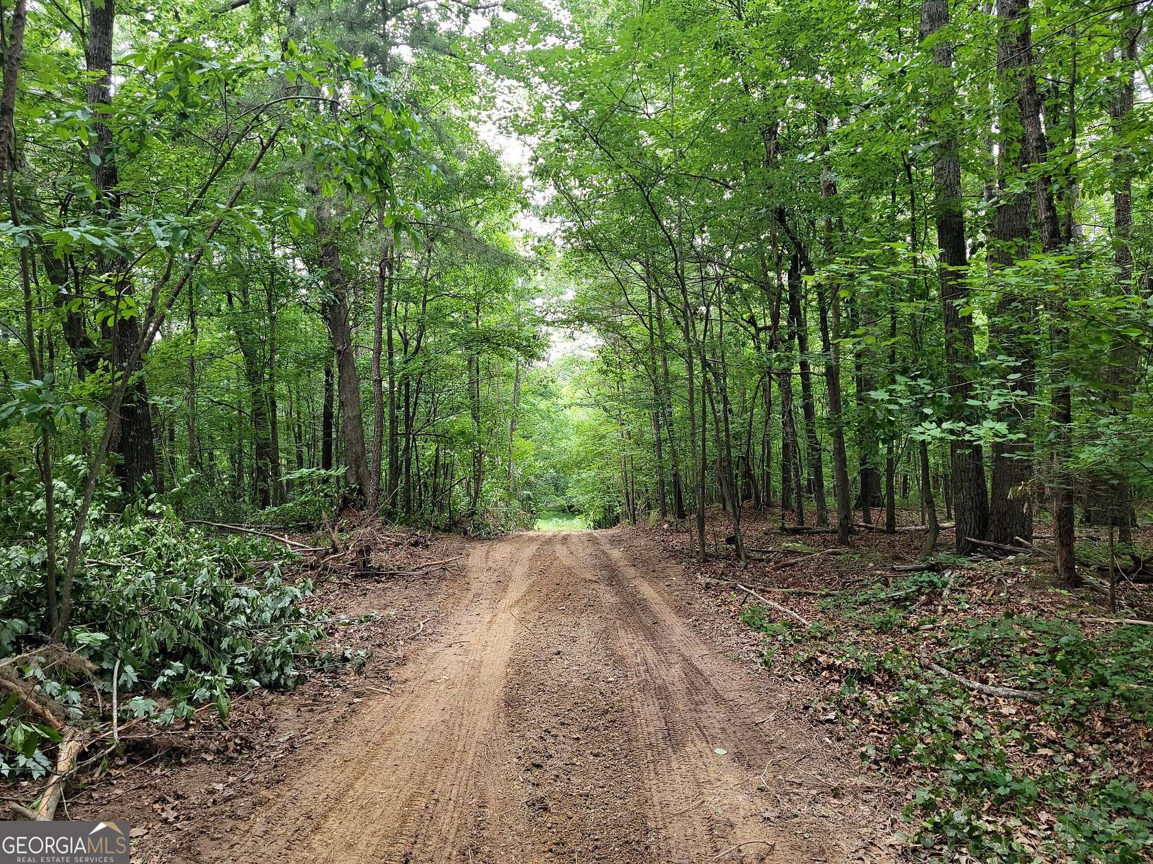 1 Acre of Land for Sale in Summerville, Georgia