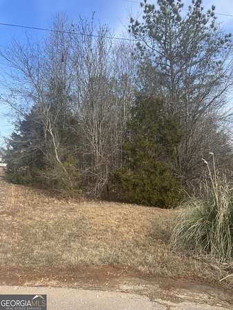 2.66 Acres of Residential Land for Sale in Martin, Georgia