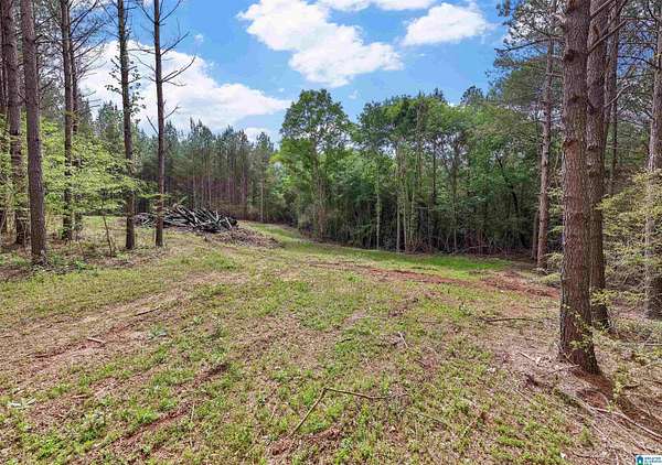 5.2 Acres of Residential Land for Sale in Woodland, Alabama