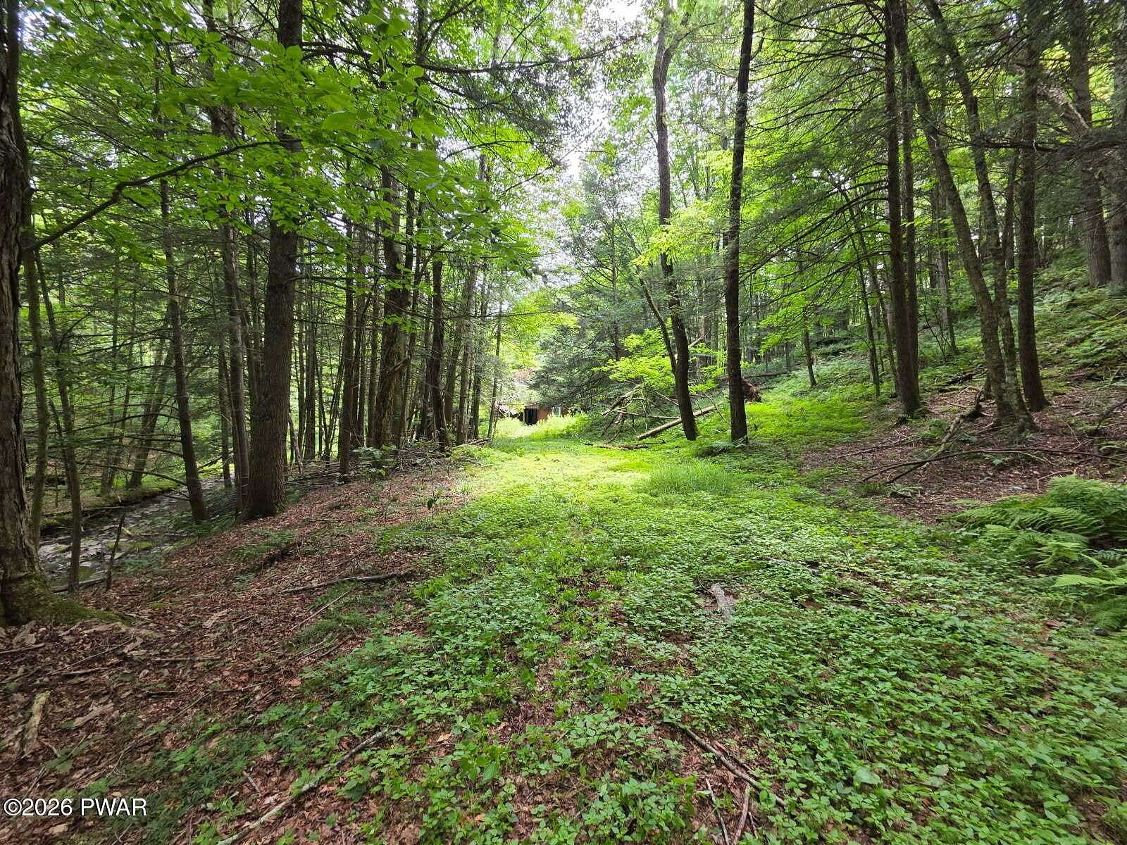 37 Acres of Recreational Land with Home for Sale in Starrucca, Pennsylvania